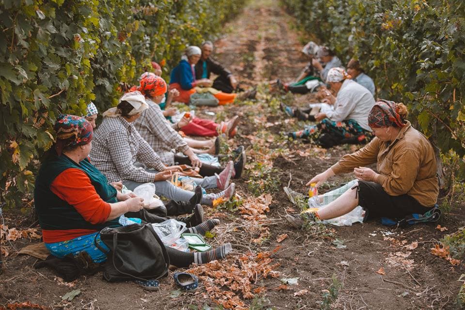 ZILIERII. Particularitățile angajării, muncii și remunerării în Moldova