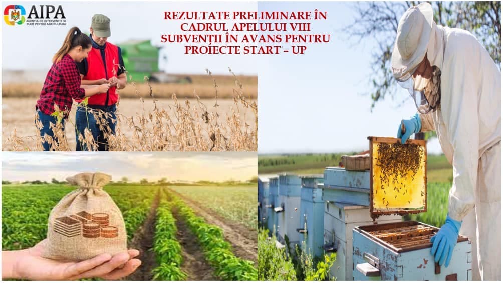 Au avut curaj și au investit în sectorul agricol