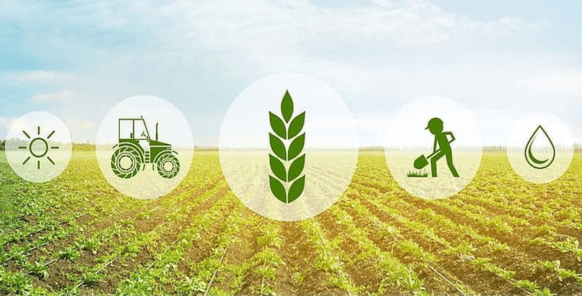 AIPA deschide apelul pentru subvenții destinate agricultorilor, valabil până pe 19 decembrie