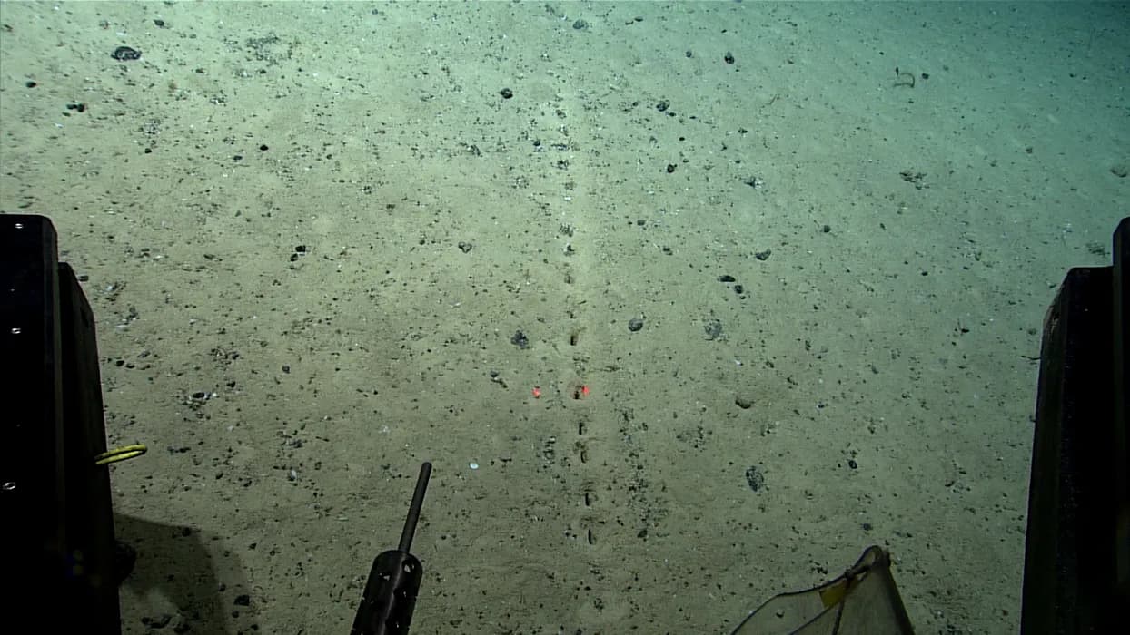 Găuri misterioase la fundul oceanului la o adâncime de circa 2,5 kilometri