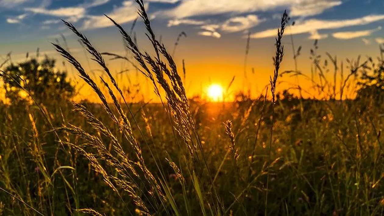 Pronosticurile meteorologilor: cum va fi vremea în august