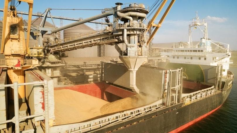 56 de nave au fost sancționate de Ucraina pentru exportul ilegal de produse alimentare din porturile ocupate de Rusia