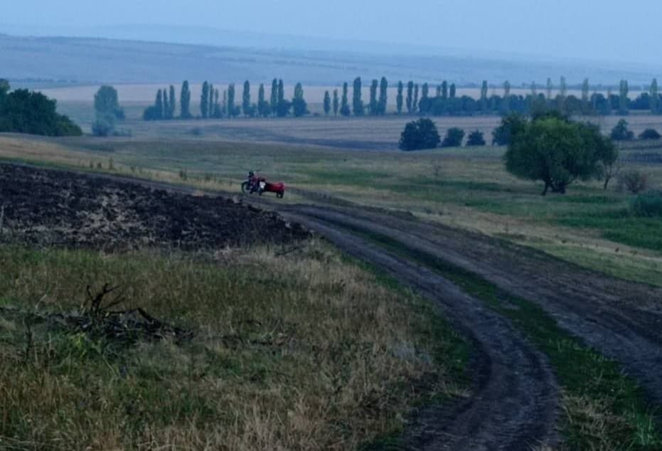 Jaf la o stână de oi! Au bătut ciobanul și au furat două motociclete