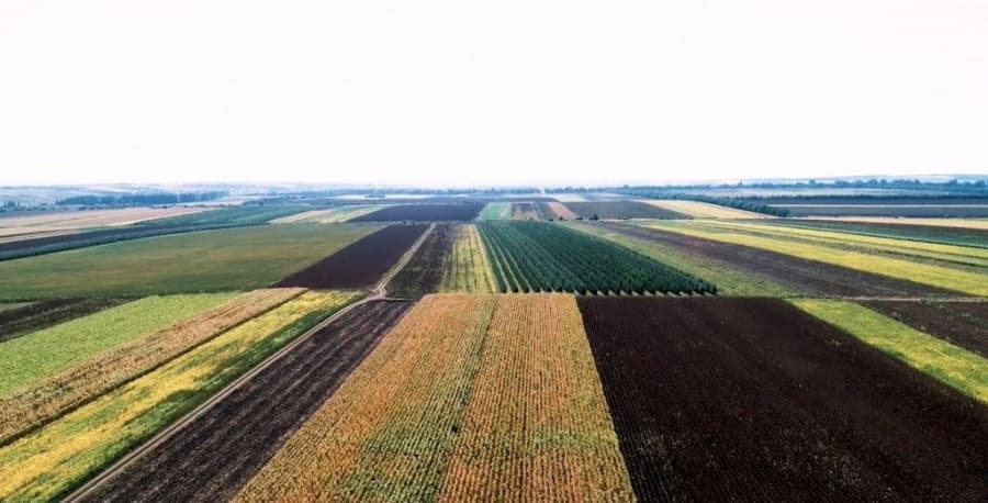 35 de loturi agricole, în valoare de patru milioane de lei, sechestrate