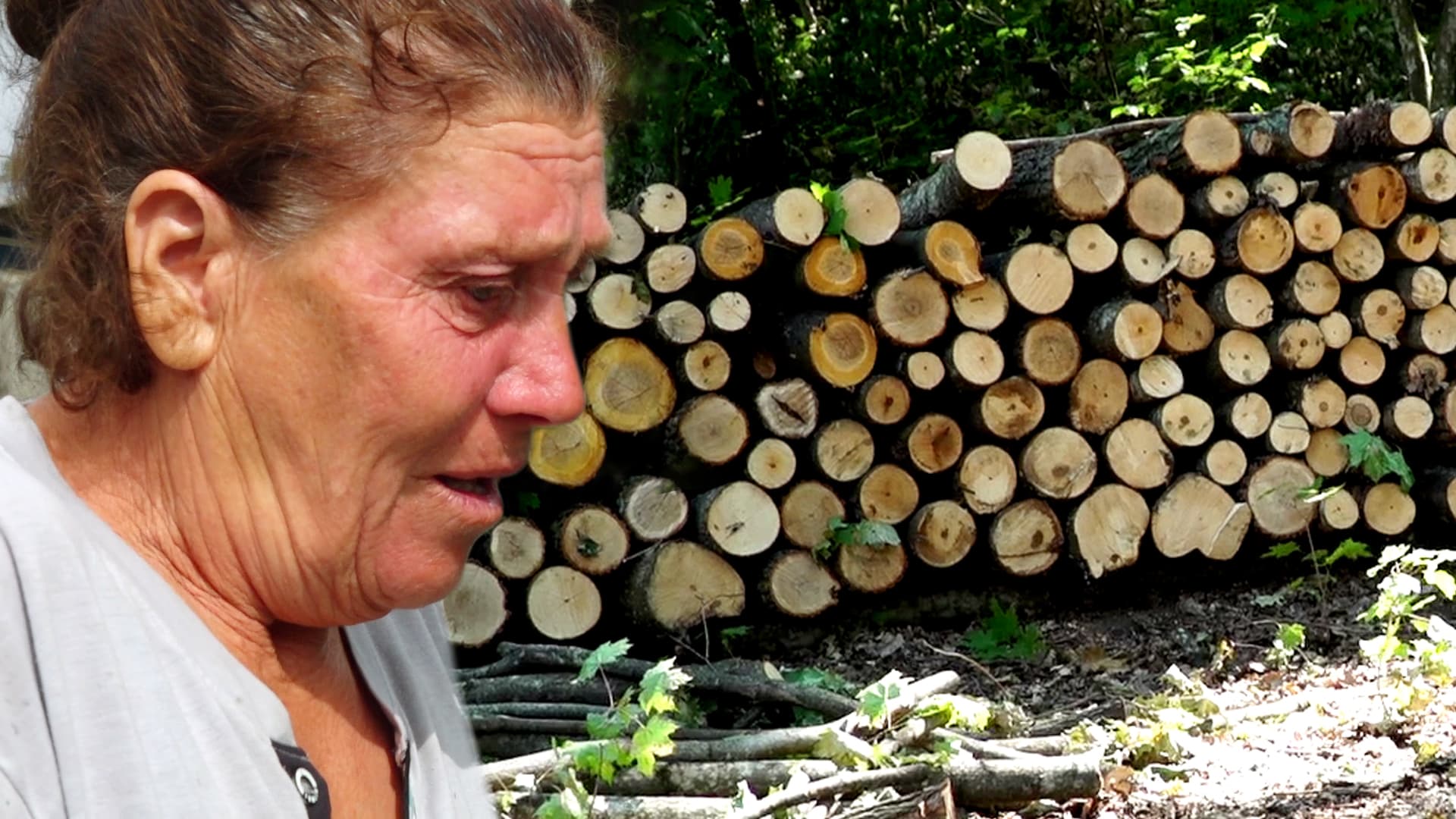 Oamenii nu au bani nici pentru lemne, nici pentru cărbuni