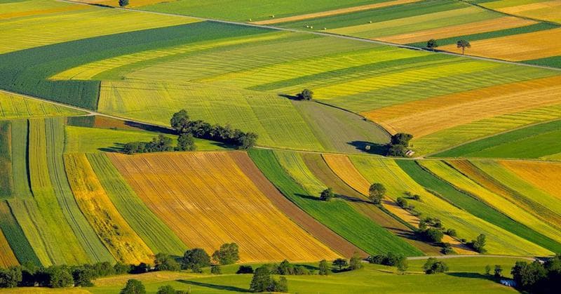 Condiții favorabile pentru amplasarea pe terenuri cu destinație agricolă