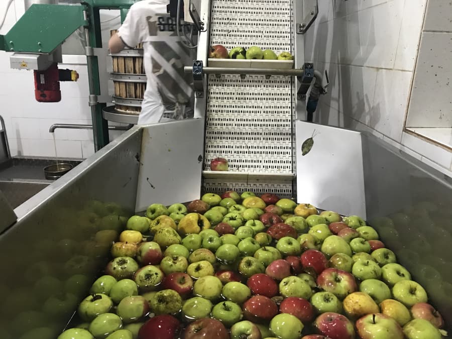 Speriați de pana de curent, producătorii duc merele la procesare