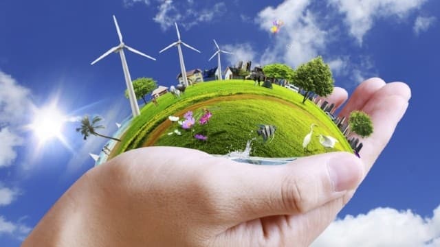 Programul de ecologizare va fi majorat cu până la 500 mii lei