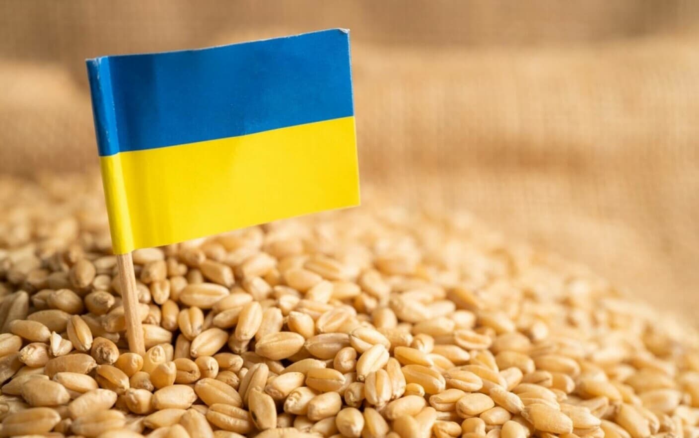 Acordul exportului de cereale, prelungit cu patru luni