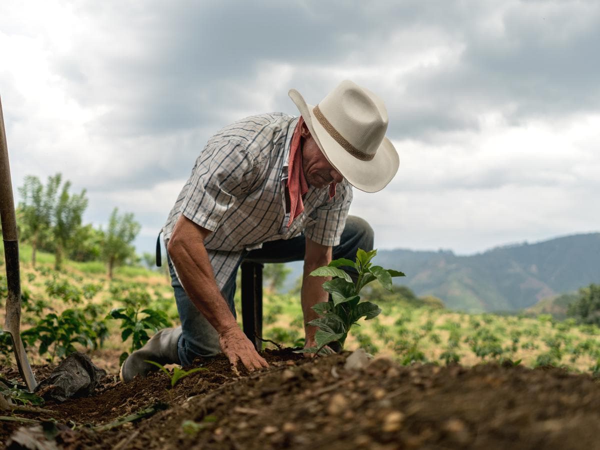 Ziua Agricultorului – motiv de sărbătoare și de a face totalurile
