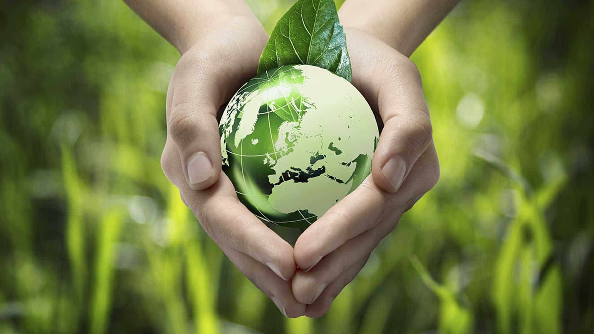 Noi modificări la Programul de ecologizare, aprobate de Guvern