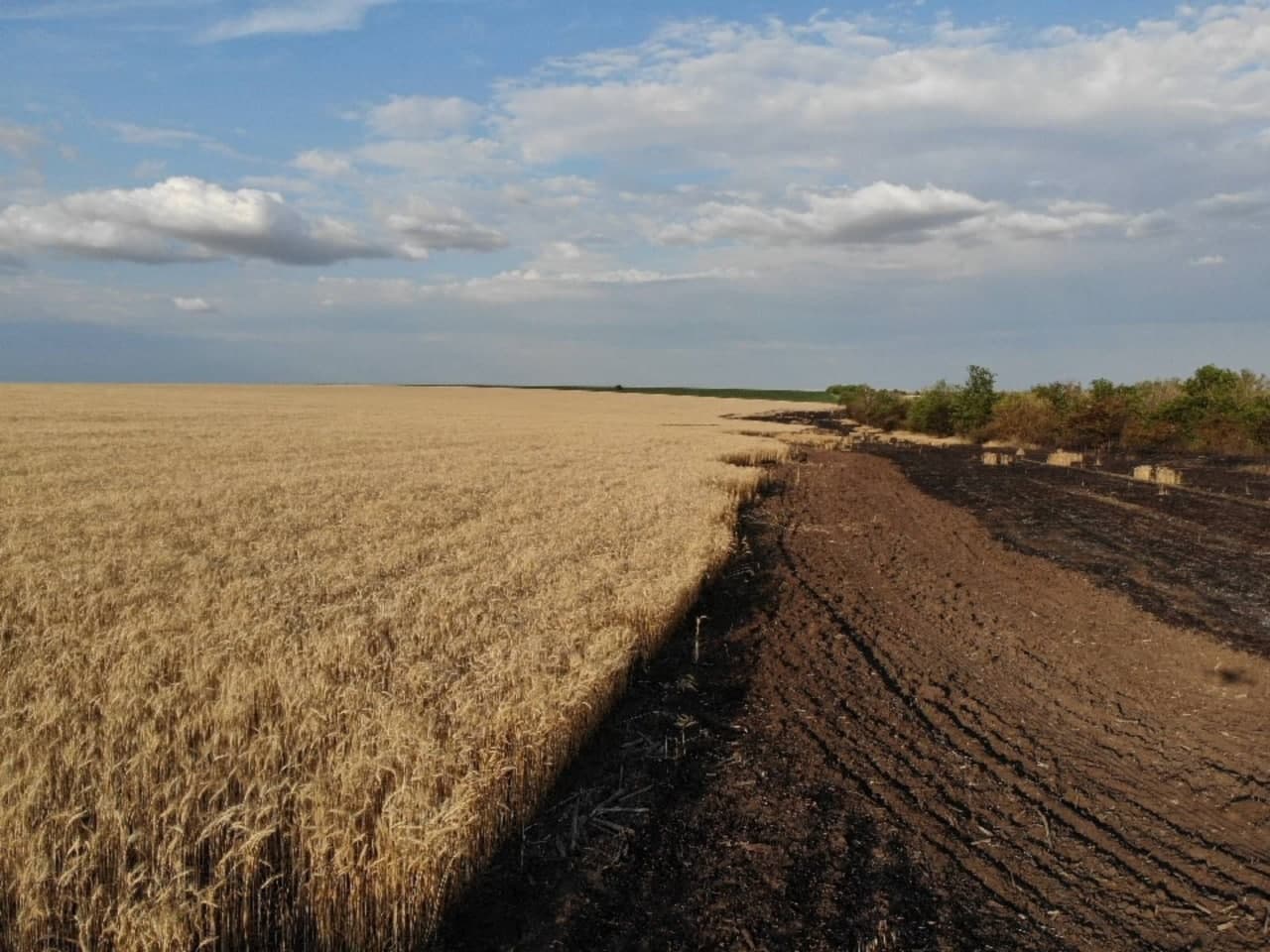 Datorită investițiilor, putem obține profit din agricultură
