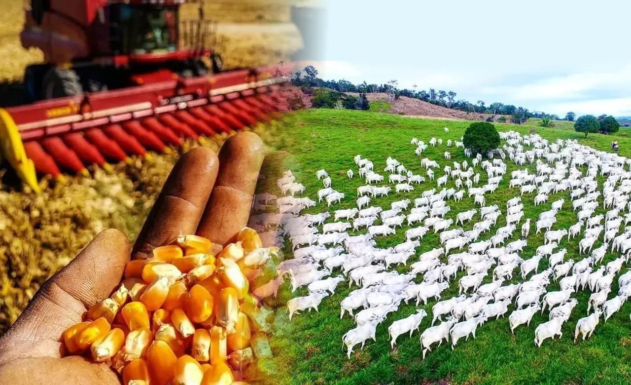 Sectorul agricol, primordial pentru Moldova