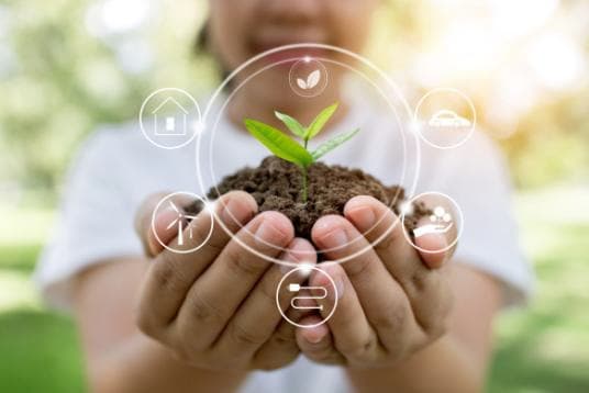 Agricultura ecologică, o soluție pentru sectorul agricol