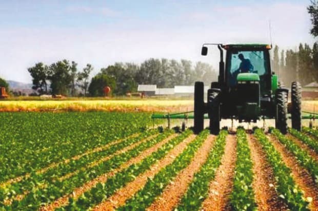 Agricultura durabilă – necesitate pentru sectorul agricol din RM