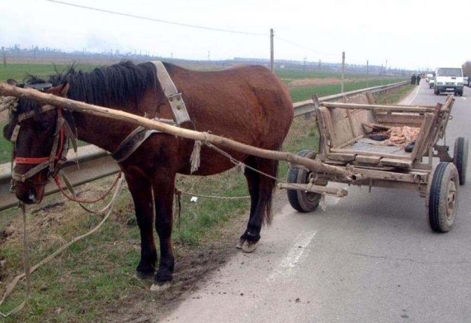 Mai mulți căruțași depistați conducând în stare de ebrietate