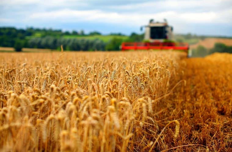 Prognoze optimiste pentru anul agricol 2023