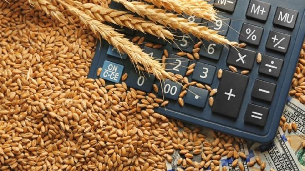 Profitul agricultorilor de la cultivarea cerealelor, în scădere