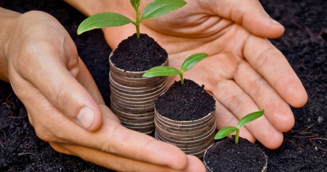AIPA concluzionează procesul de recepționare a cererilor pentru subvenții agricole