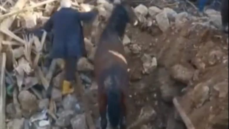 Cal scos în viață de sub dărâmături, la 21 de zile de la cutremur