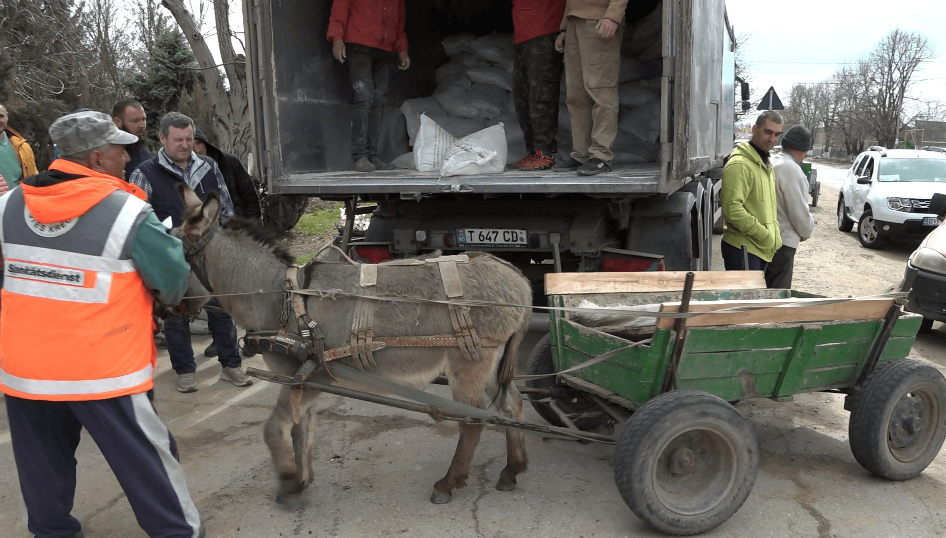 2000 de familii vor primi furaje ca să-și hrănească animalele