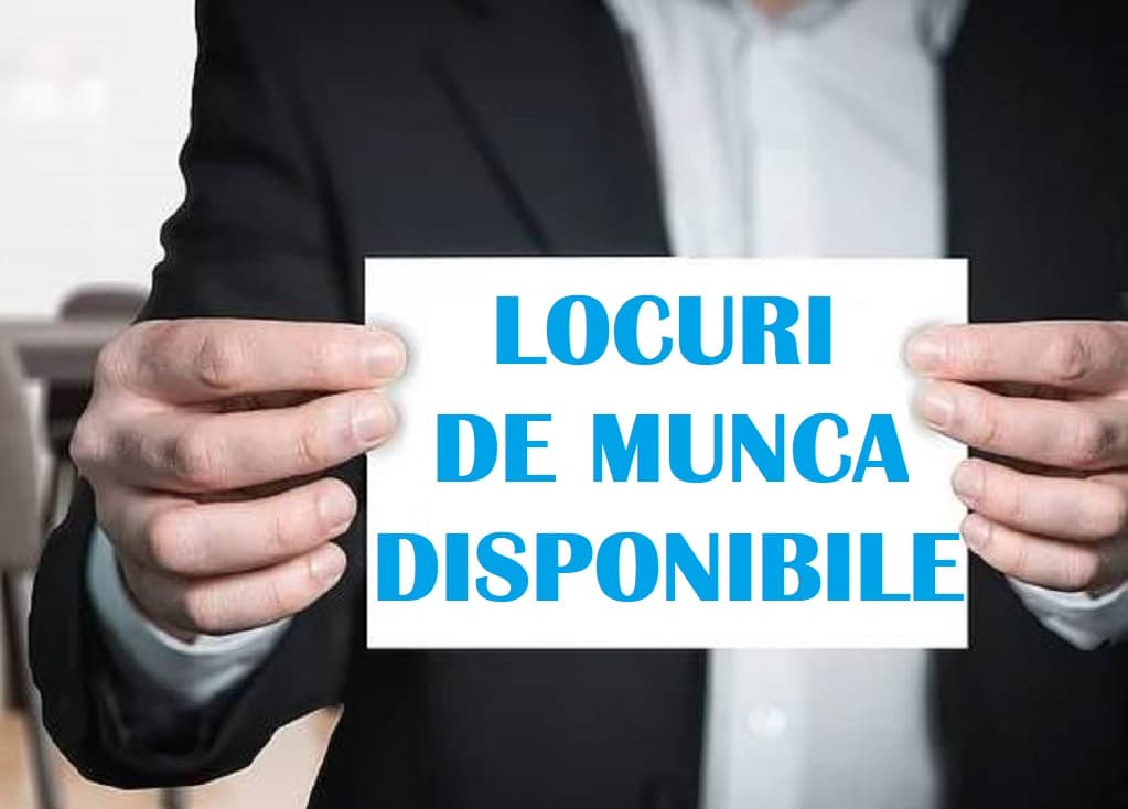 Peste 11.600 de locuri de muncă vacante în Moldova