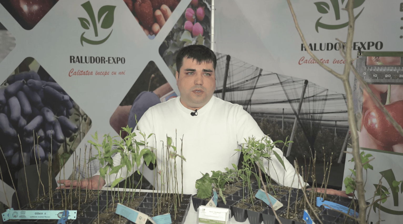 RALUDOR EXPO - proiectarea viilor, livezilor și plantațiilor de pomușoare!