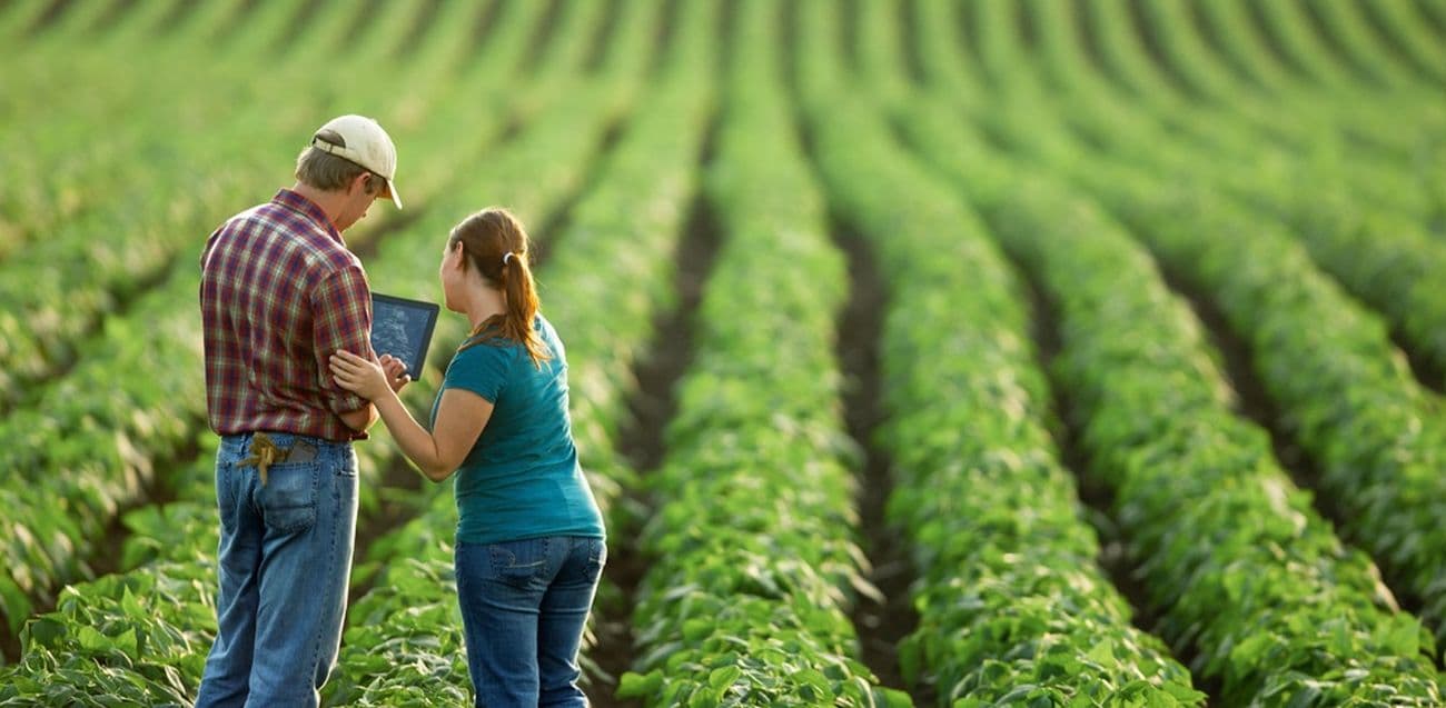 Tinerii pot beneficia de granturi pentru proiecte digitale în agricultură
