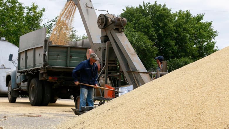 Polonia investighează fraude în importul cerealelor ucrainene