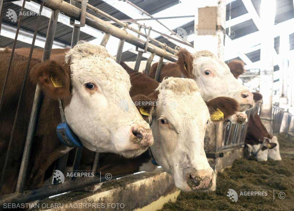 Numărul de ferme în UE a scăzut cu 5,3 milioane de unități în 15 ani