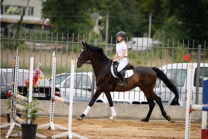 Un complex modern de hipism, inaugurat la Grătiești / FOTO