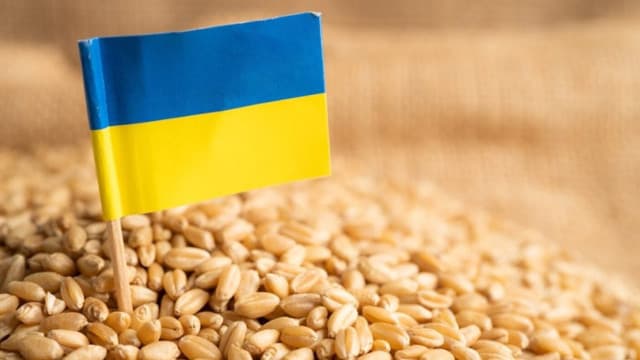 Nu vor să interzică importurile de grâu din Ucraina