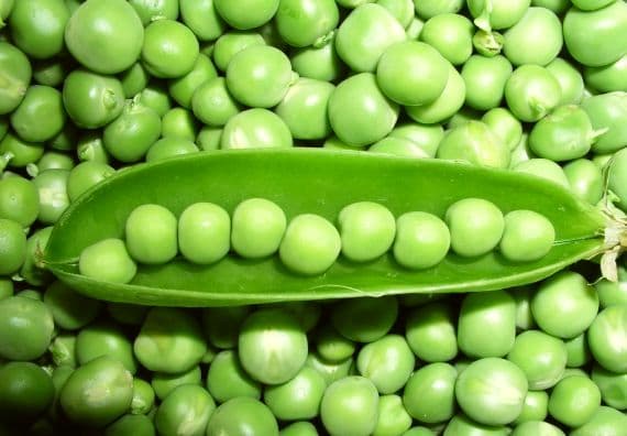 Mazărea verde din Moldova se vinde la prețul sparanghelului