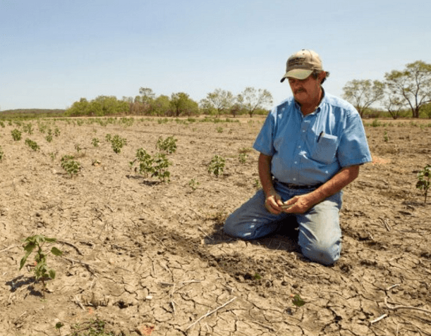 Ce se întâmplă în sectorul agroindustrial în lipsa intervenției autorităților?