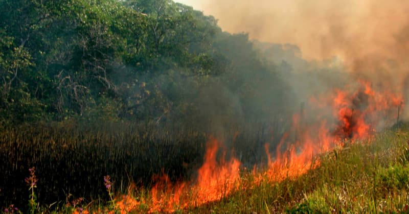 COD GALBEN de pericol de incendii