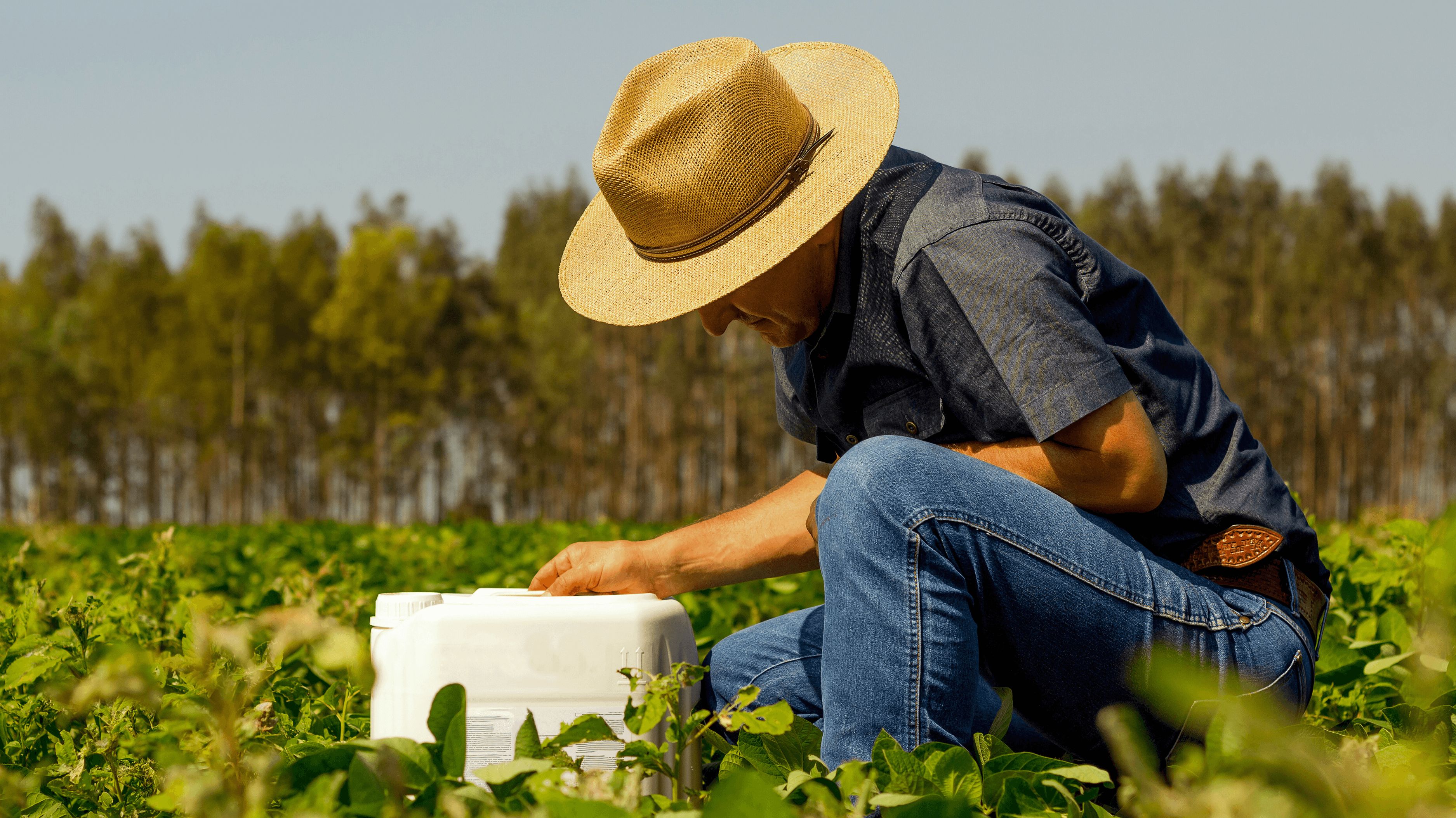 A început marea reciclare a ambalajelor din agricultură
