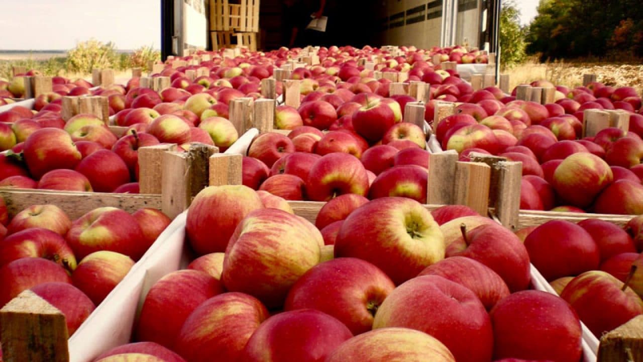 Agricultorii vor putea să-și vândă în continuare produsele pe piața din UE