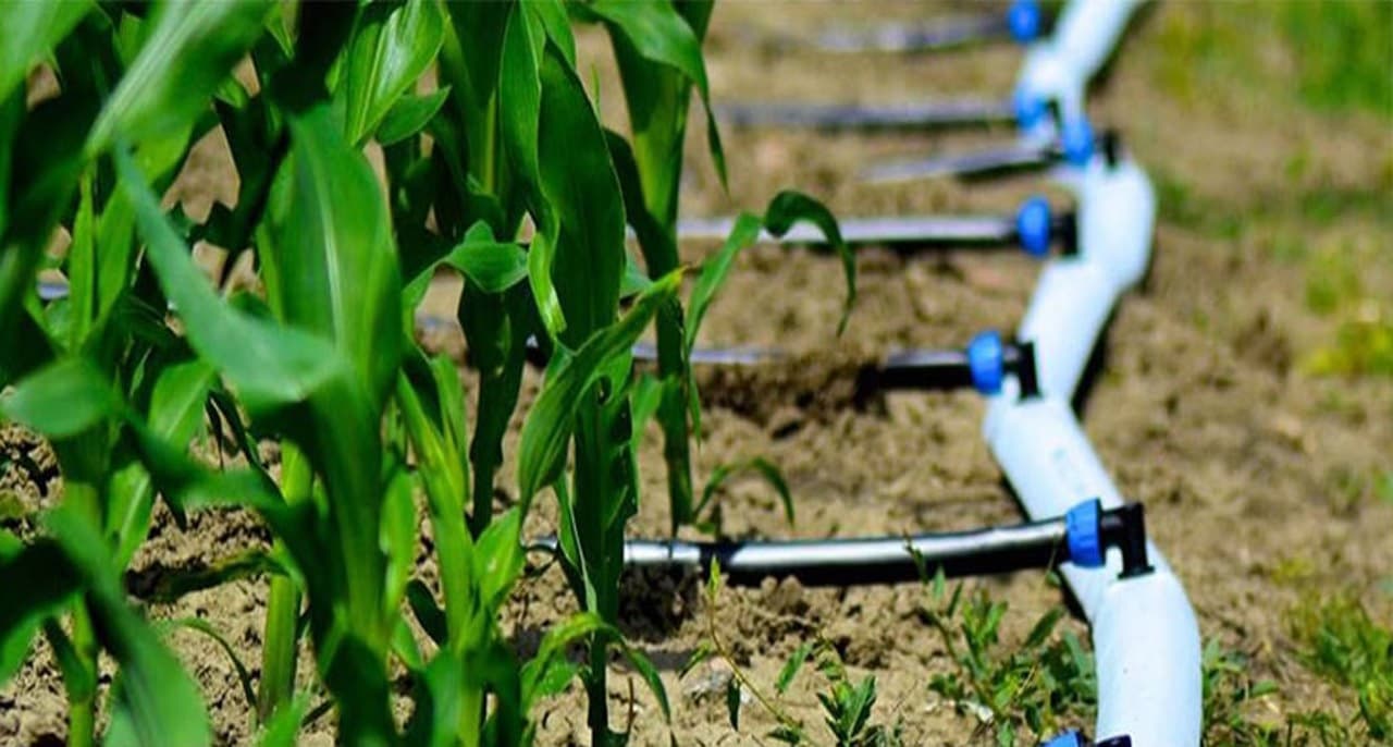 44 milioane de euro vor fi oferiți agricultorilor