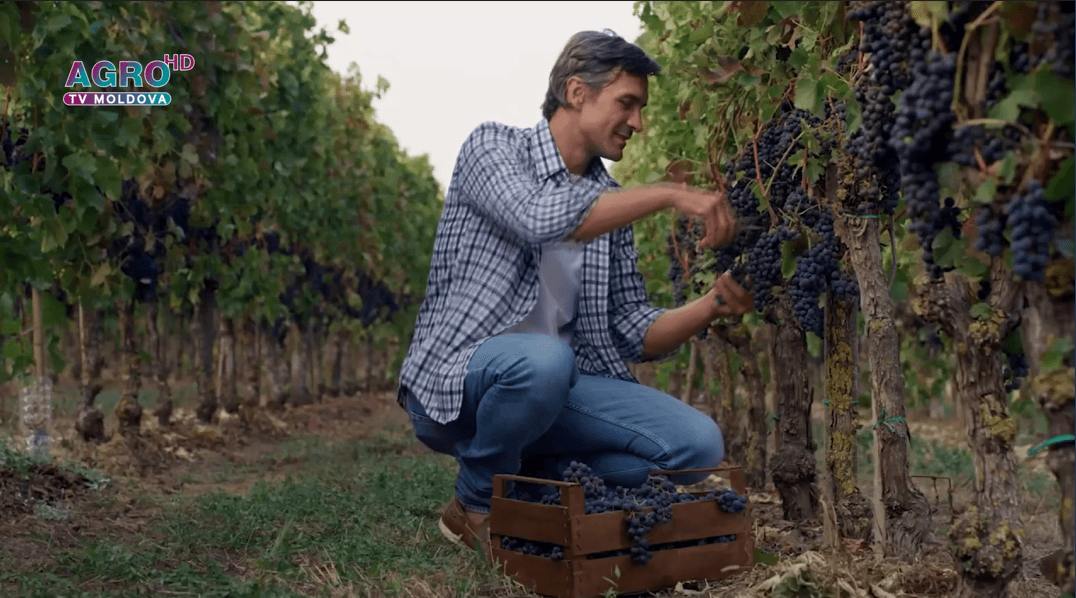Produsele Corteva aduc plus valoare fructelor din Moldova