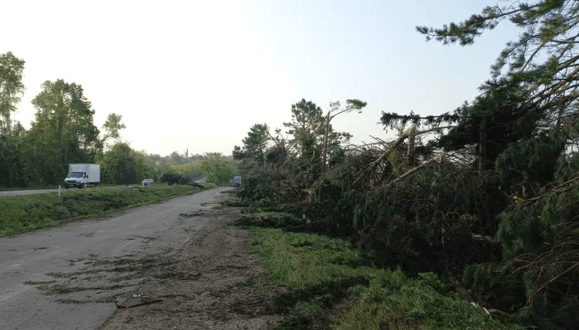 Aproape 120 de arbori au fost doborâți la pământ de vântul puternic/FOTO