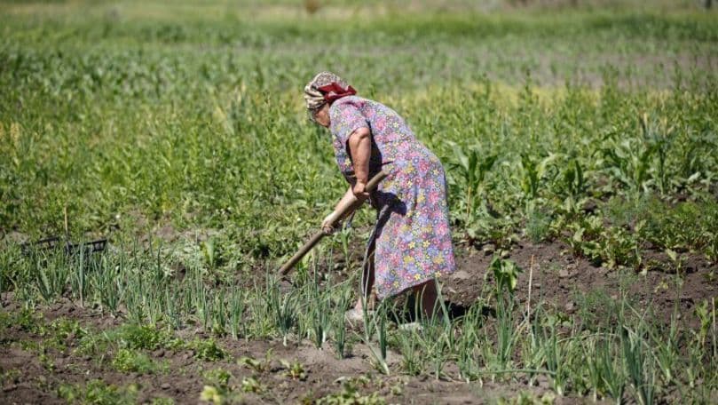 Vremea caniculară se menține, informează meteorologii