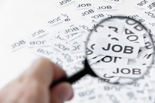 Locuri de muncă vacante: Aflați în ce ramură vă regăsiți