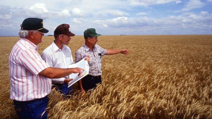Noi măsuri de sprijin pentru agricultori