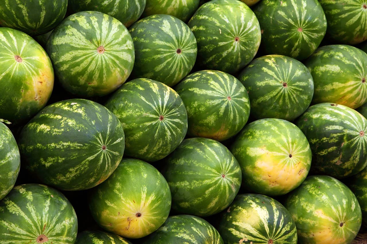 Cum vor fi prețurile la pepenele verde pentru a doua jumătate a verii?