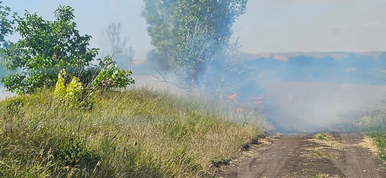 Reguli de comportament pe timp de caniculă