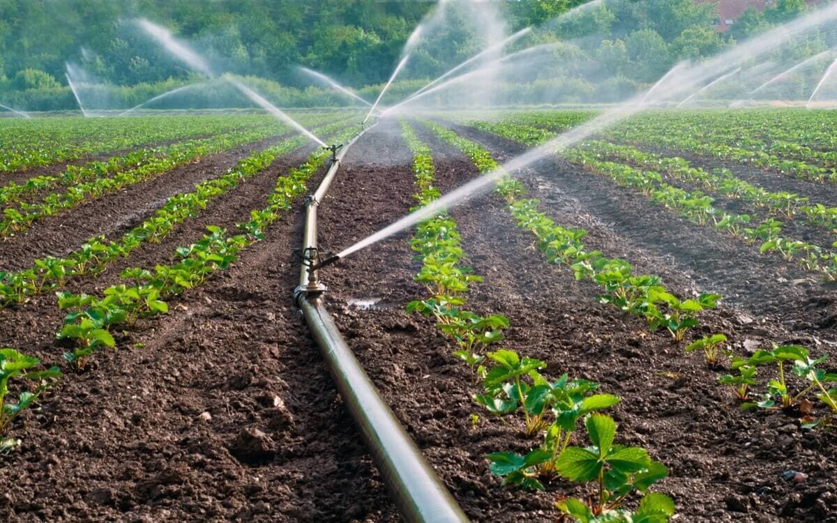 Ministerul Agriculturii: Subvențiile pentru irigare, majorate