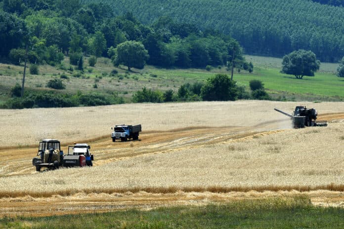 Campania de recoltare continuă în forță la Soroca