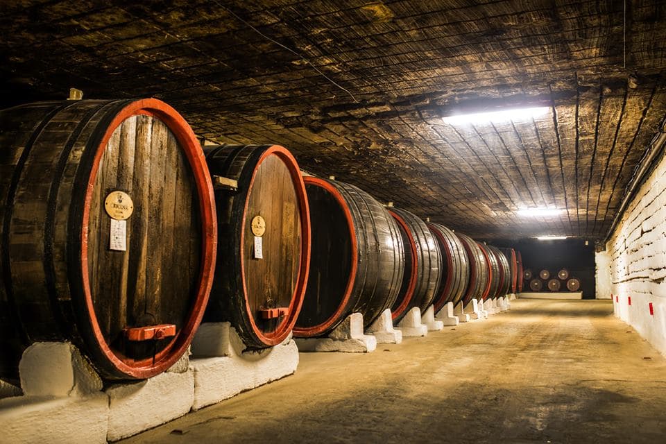 Producătorii care doresc să importe vin brut, trebuie să dețină licență