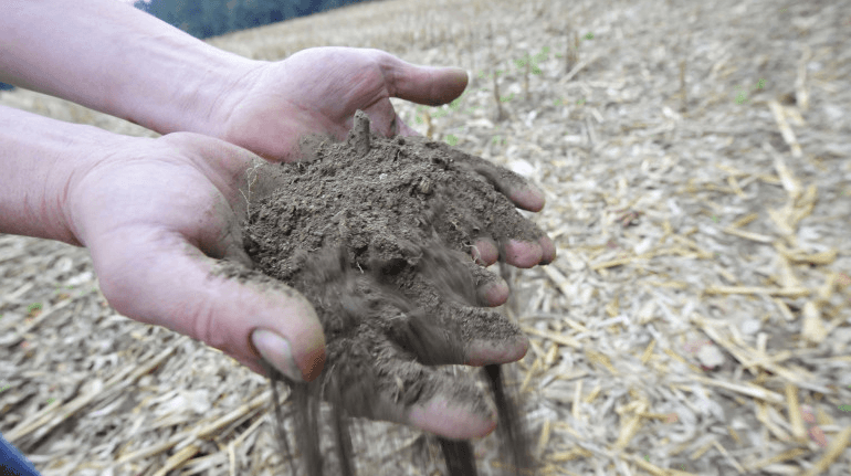 “Luptă crâncenă” cu schimbările climatice în România