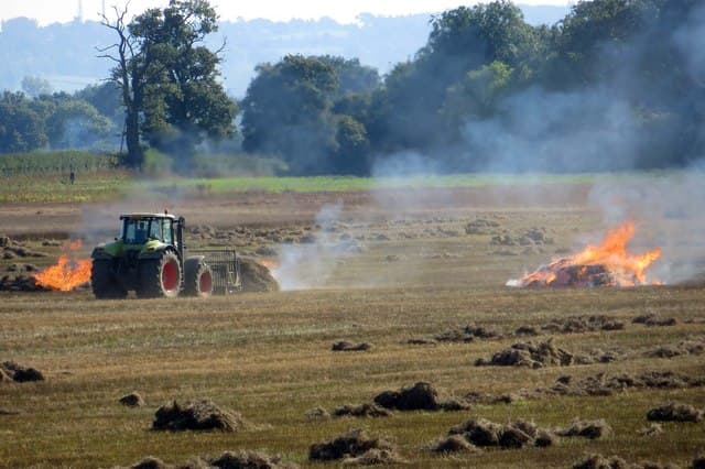Acțiuni de prevenire a incendierii resturilor vegetale /FOTO